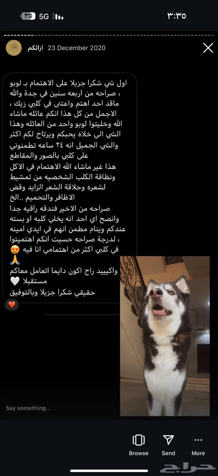 فندقة حيوانات اليفه 12