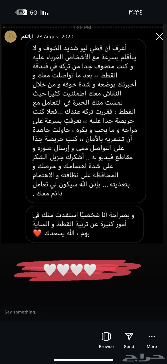 فندقة حيوانات اليفه 5