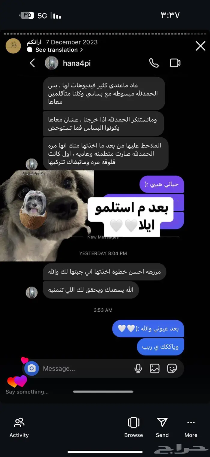 فندقة حيوانات اليفه 10