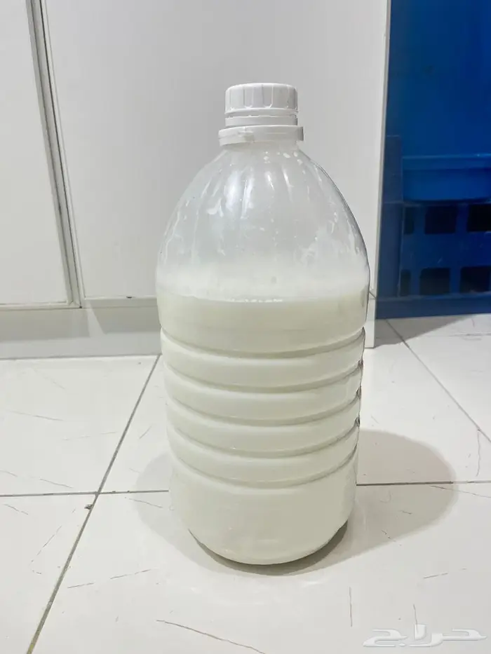 لبن غنم 5 لتر 0