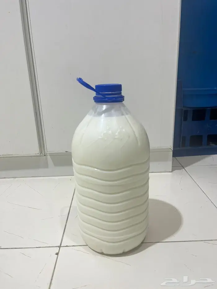 لبن غنم 5 لتر 1