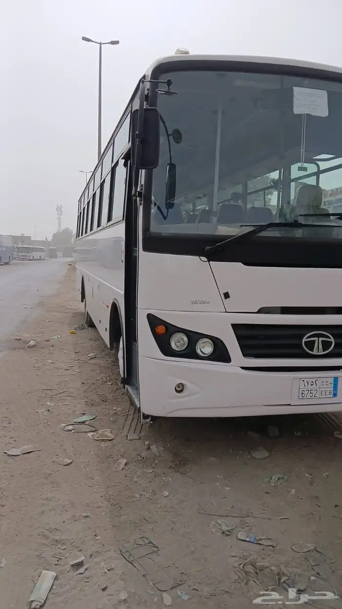 باص تاتا 2025 للإيجار 11