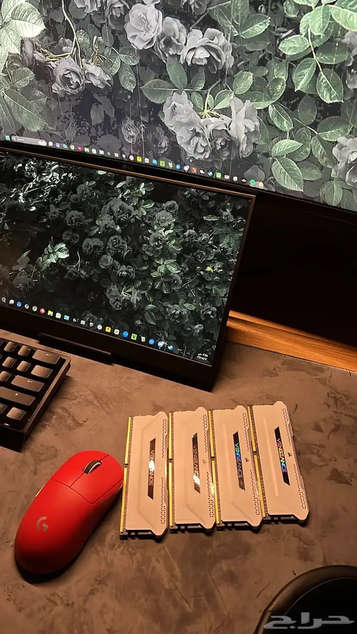 تم البيع والله يبارك للمشتري 0