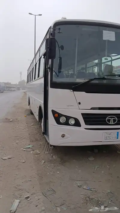 باص تاتا 2025 للإيجار 10