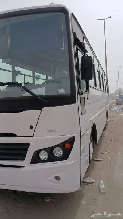 باص تاتا 2025 للإيجار 12