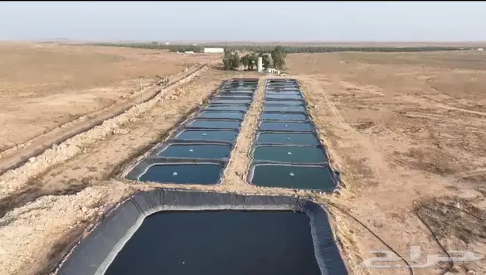 مشروع زراعي 0