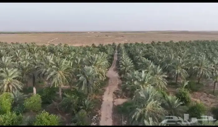 مشروع زراعي 3