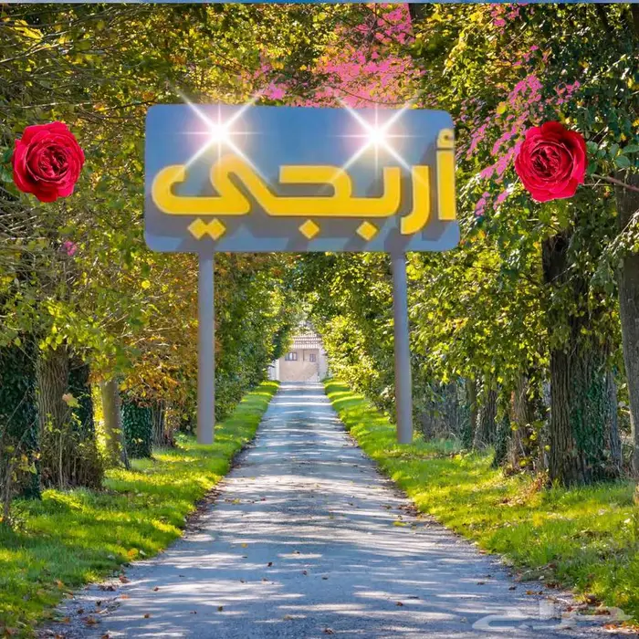 تصميم هوية بصرية متكاملة 4