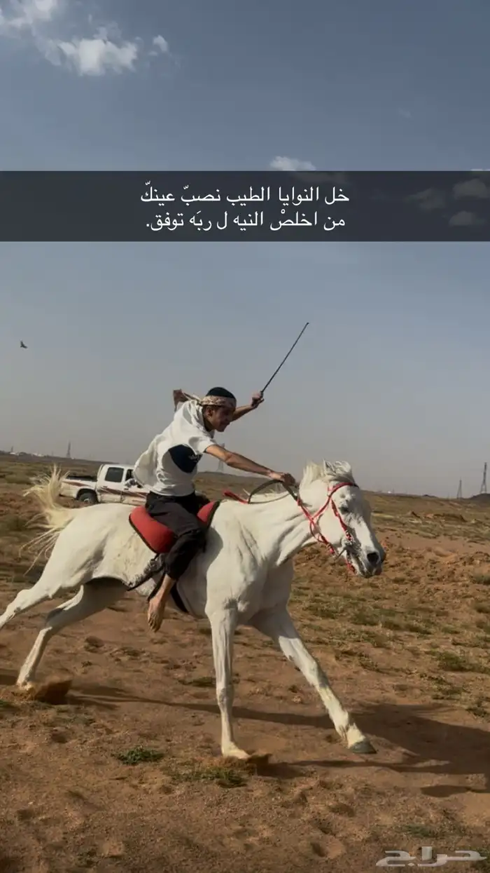 حصان كفو . 0