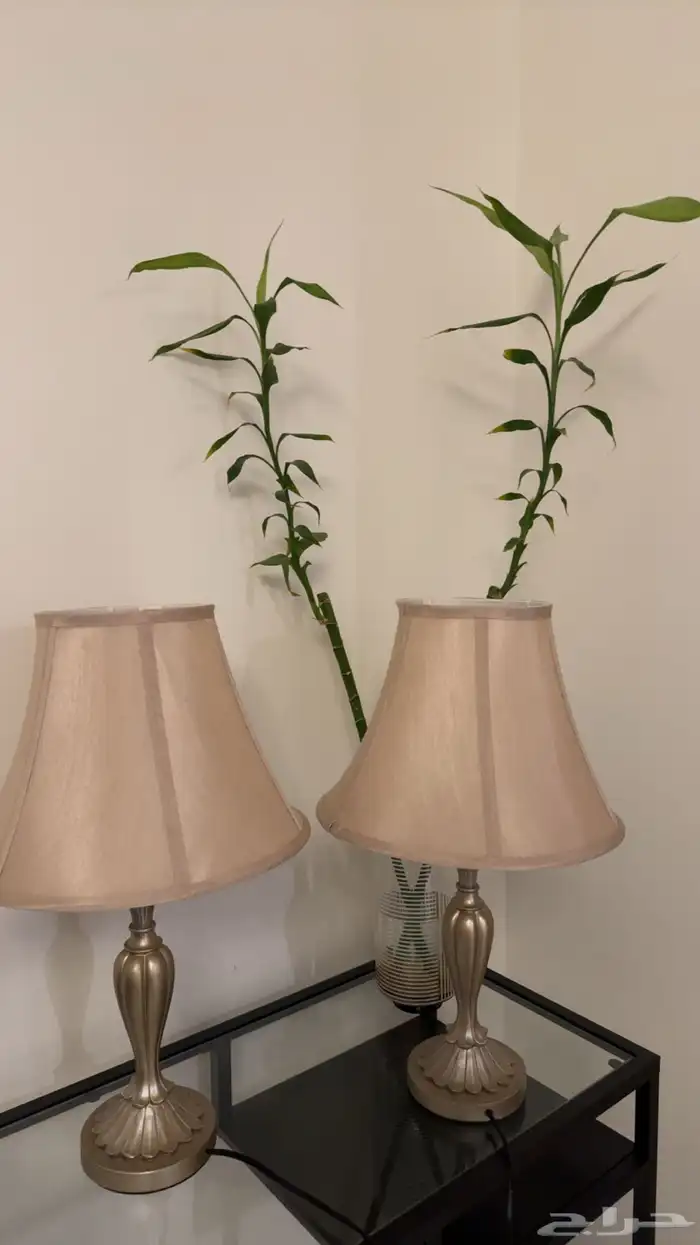 اثاث ابجورات 1