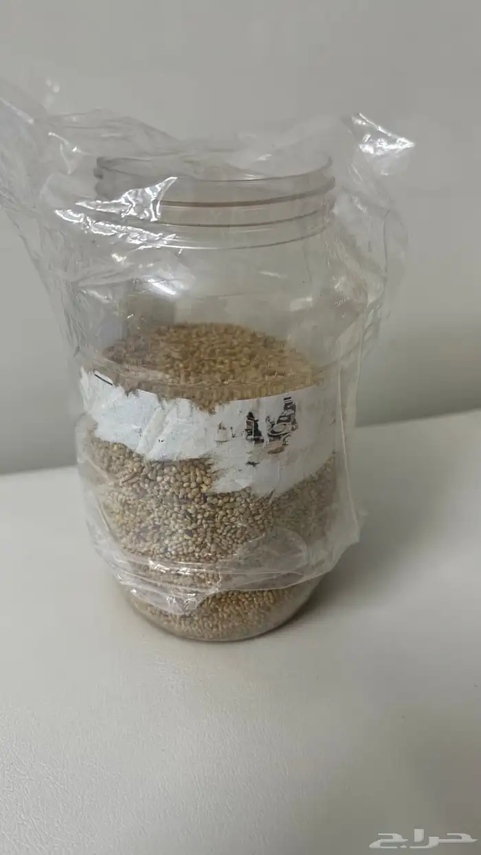 للبيع  خلطة حبوب طيور نظيفة (كناري - زيبرا - فينش) 0