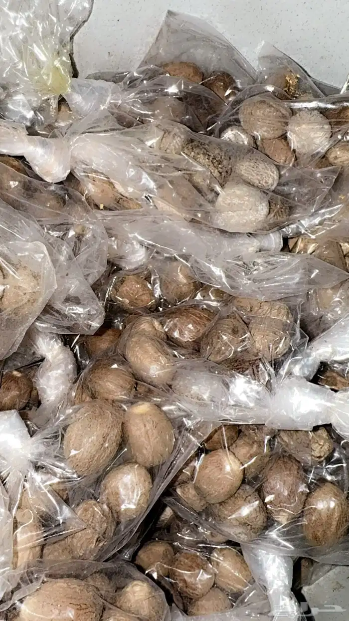 سوق الاثنين الشعبي 21