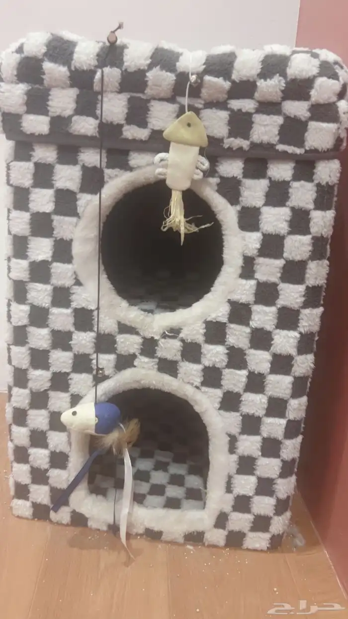 بيت قطاوه فردين جديد 2