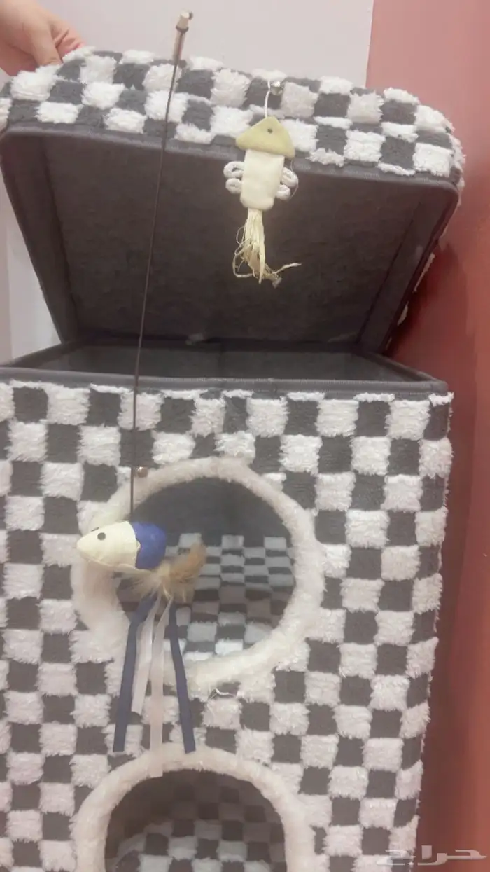 بيت قطاوه فردين جديد 1