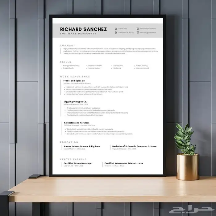 تصميم cv احترافي 13