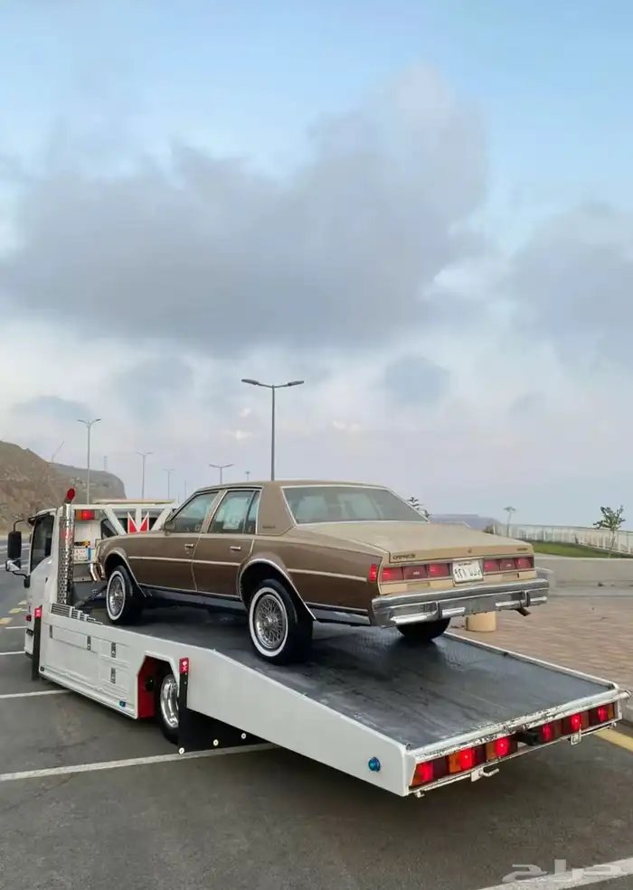 سطحه العلا 1