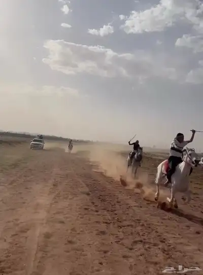 حصان كفو . 1