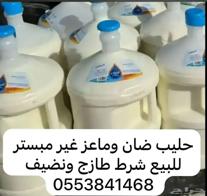 حليب ماعز وحليب غنم غير مبستر 1