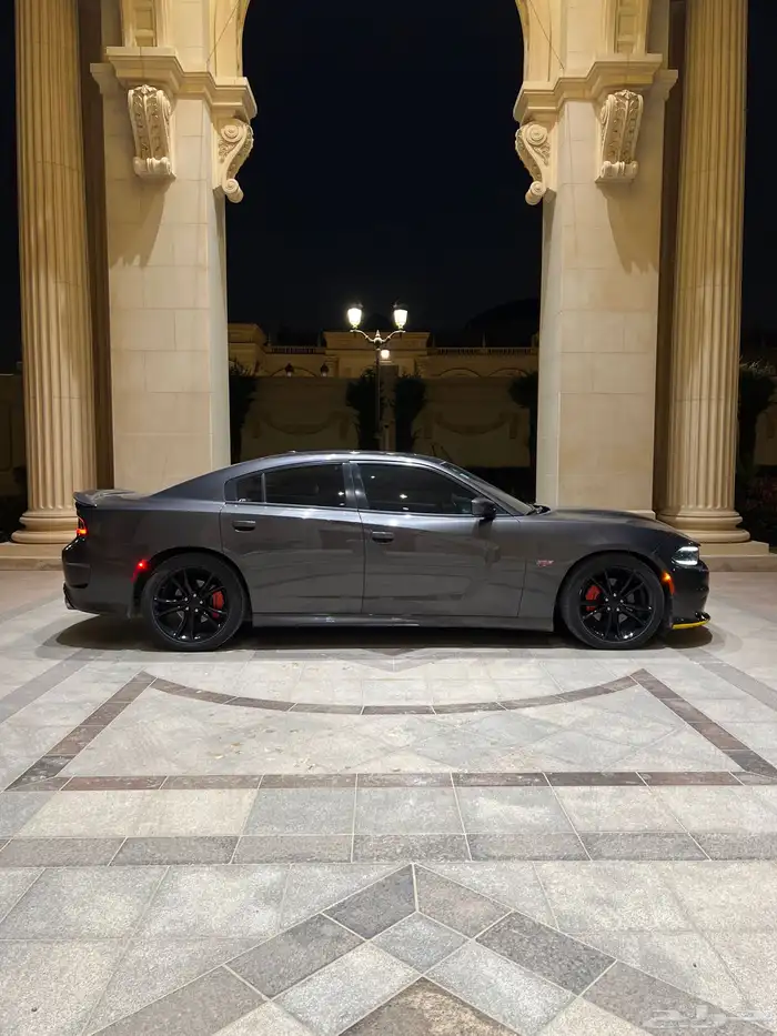 تم البيع للمزيد تابع الحساب 6