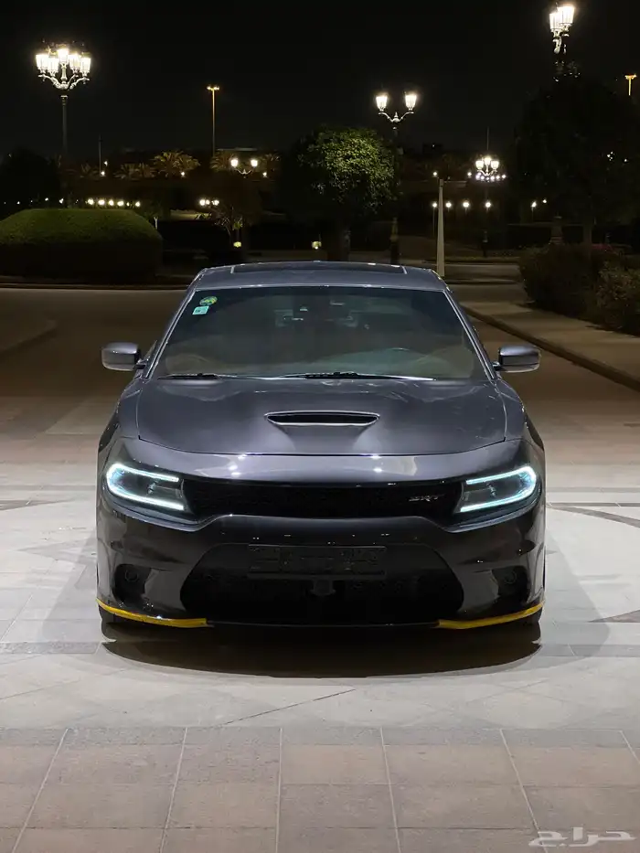 تم البيع للمزيد تابع الحساب 8