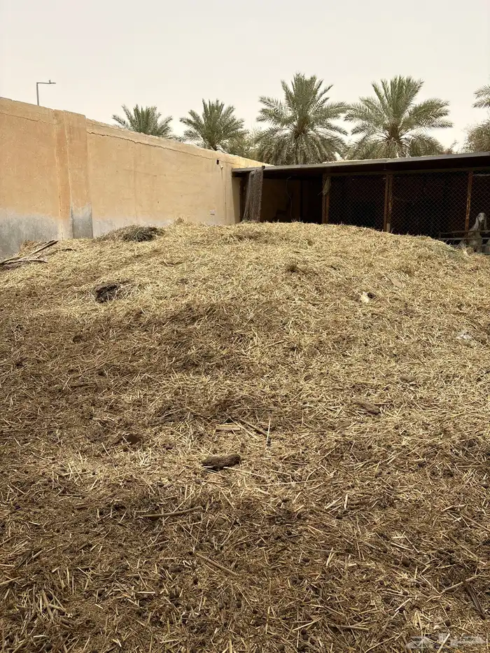 سماد أغنام كميه كبيره 1
