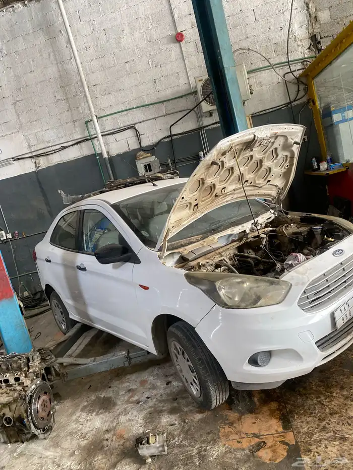 مكينة فرد فيقو 2019 3