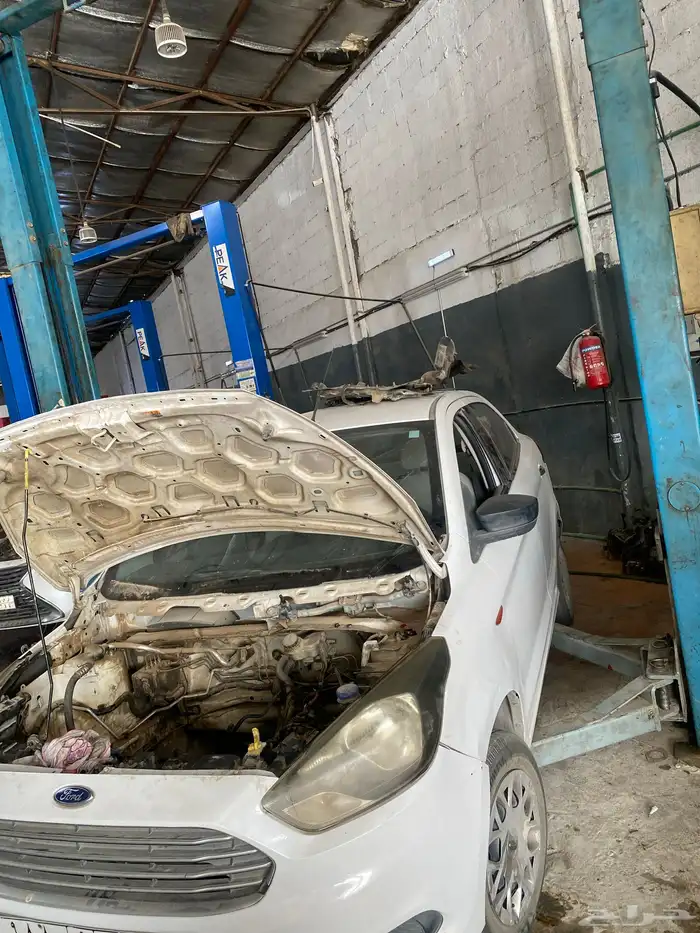 مكينة فرد فيقو 2019 2