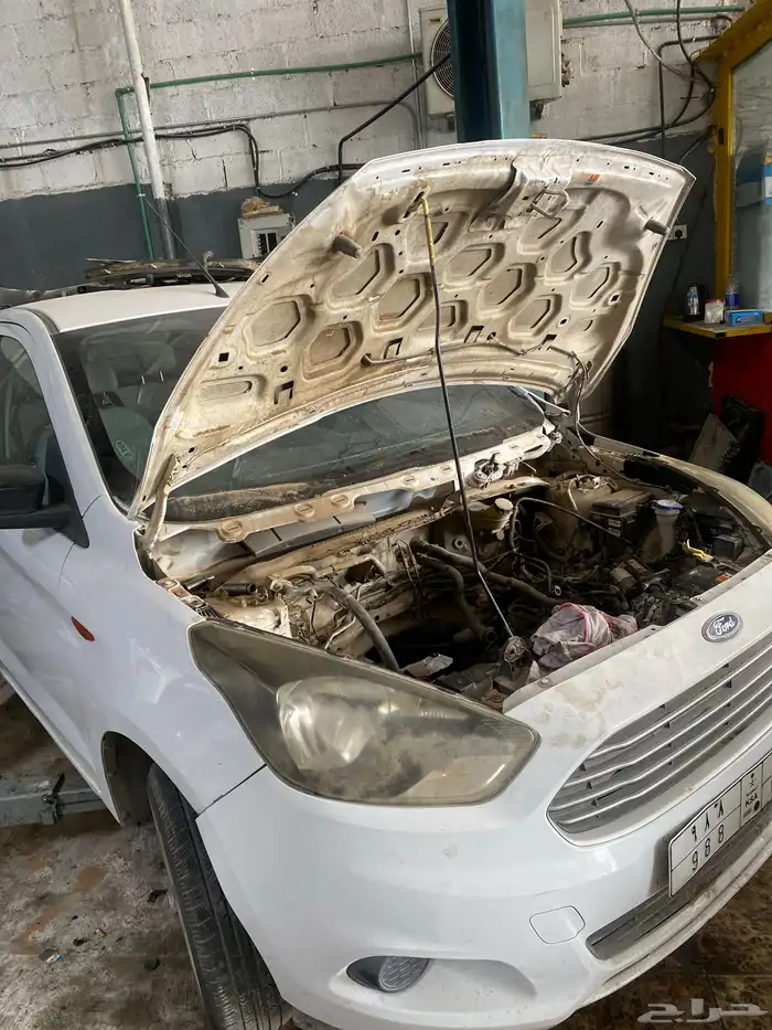 مكينة فرد فيقو 2019 1