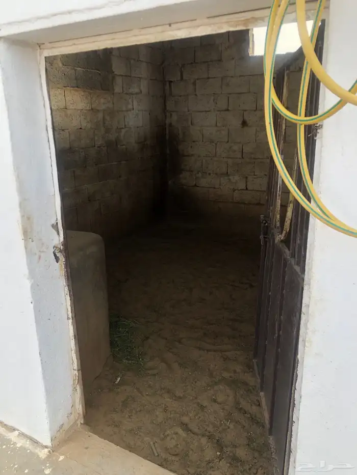 يوجد اسطبل فيه غرف خيل للاجار الشهري 3