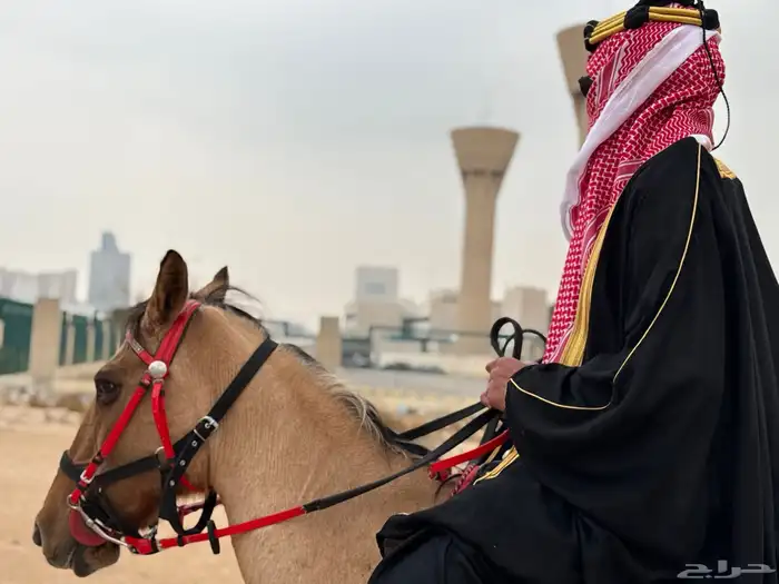 مصور خريجين 0