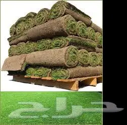 ثيل طبيعي ياباني انتورو c2000 فرنسي امريكي تجهيزإنشاء ملاعب 7