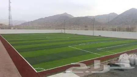 ثيل طبيعي ياباني انتورو c2000 فرنسي امريكي تجهيزإنشاء ملاعب 11