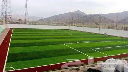 ثيل طبيعي ياباني انتورو c2000 فرنسي امريكي تجهيزإنشاء ملاعب 13