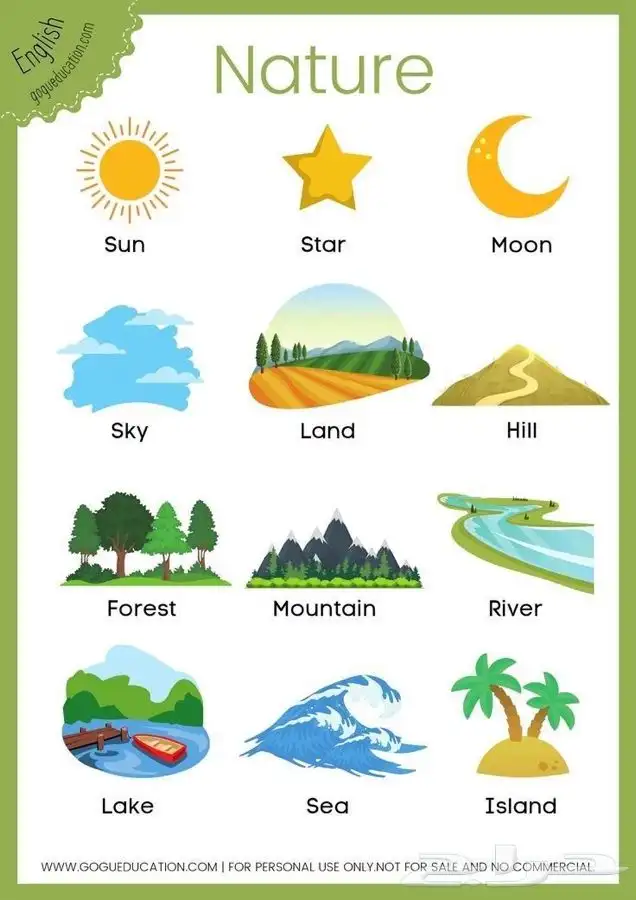 معلمه انجليزي 0