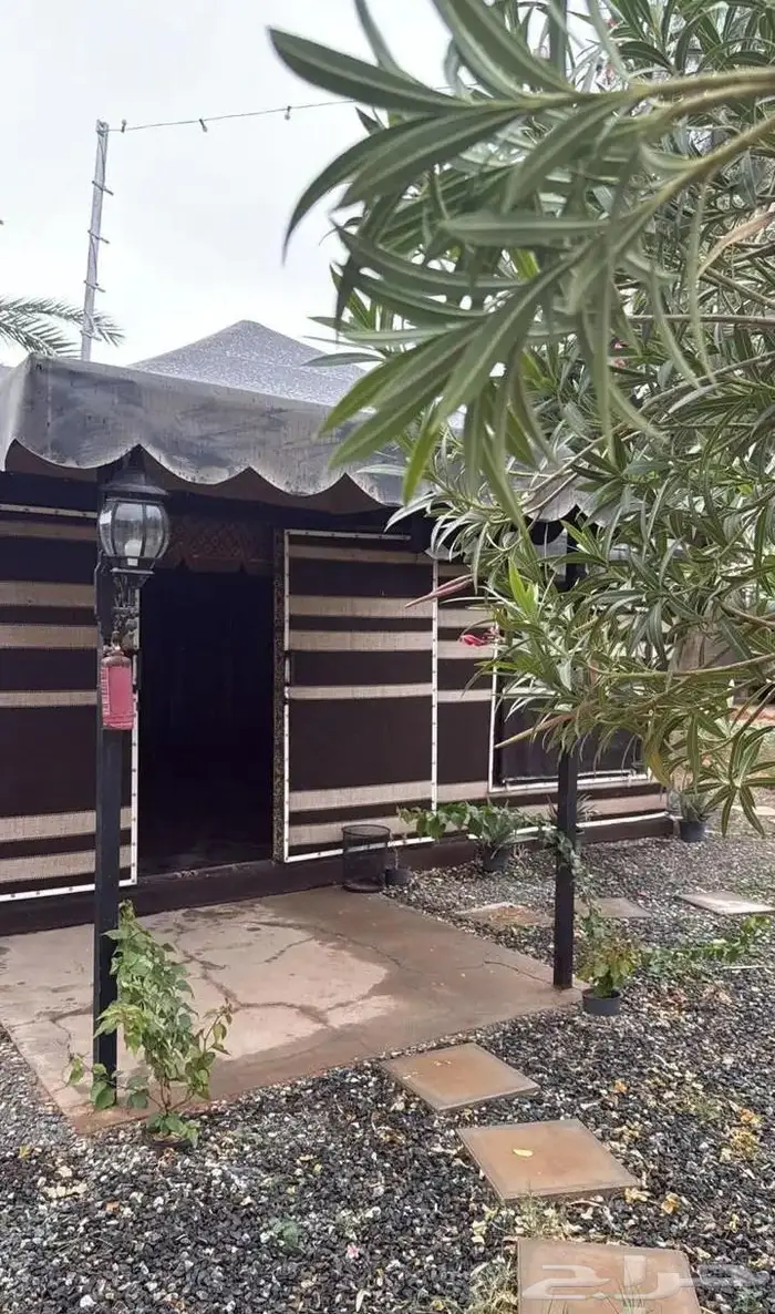 للإيجار مزرعة ( أسطبل خيول وفيلا سكني) ببريدة 19