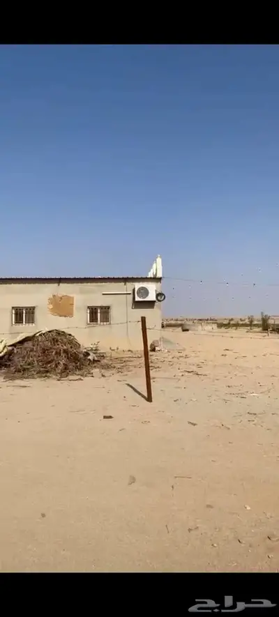 مزرعة للإيجار شمال البكيرية (الارطاوي) 4
