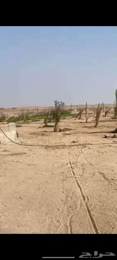مزرعة للإيجار شمال البكيرية (الارطاوي) 1