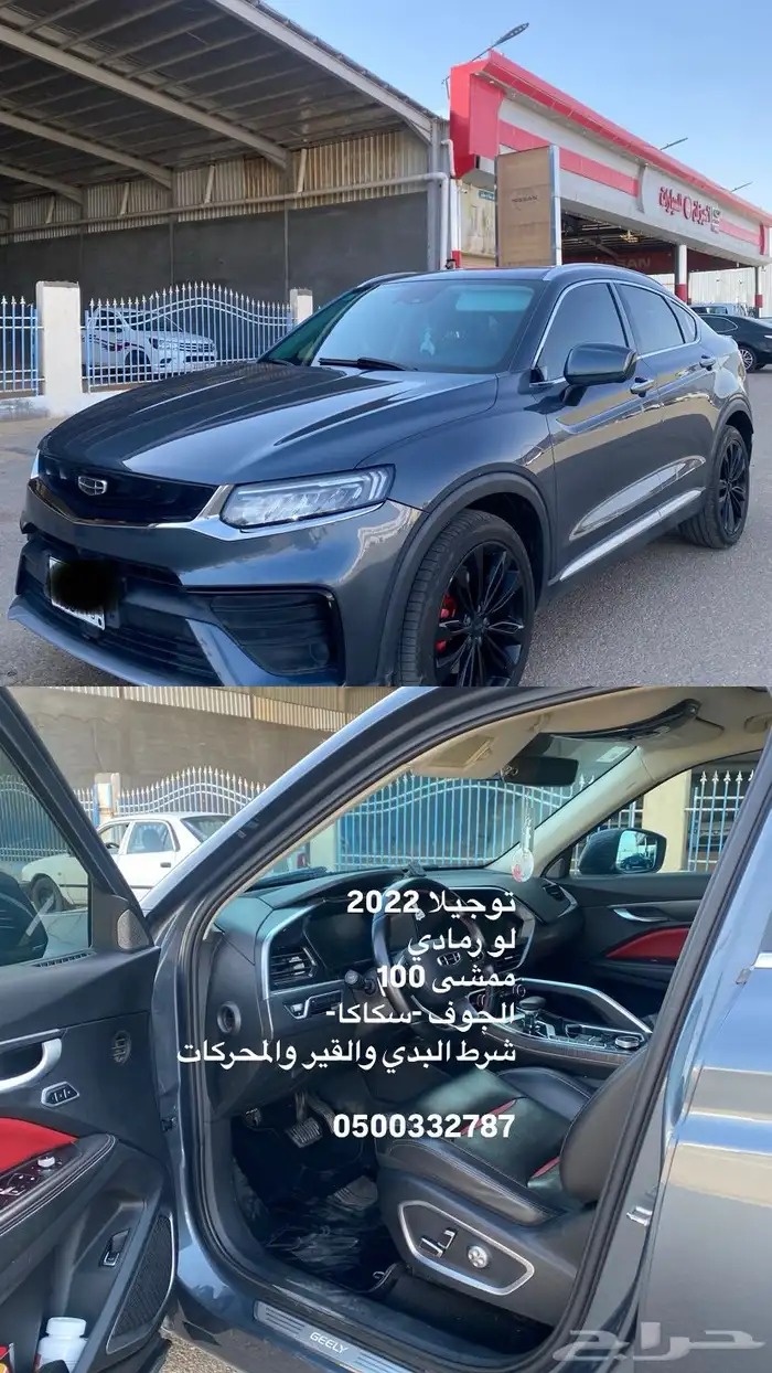 جلي توجيلا 2022 للبيع 8