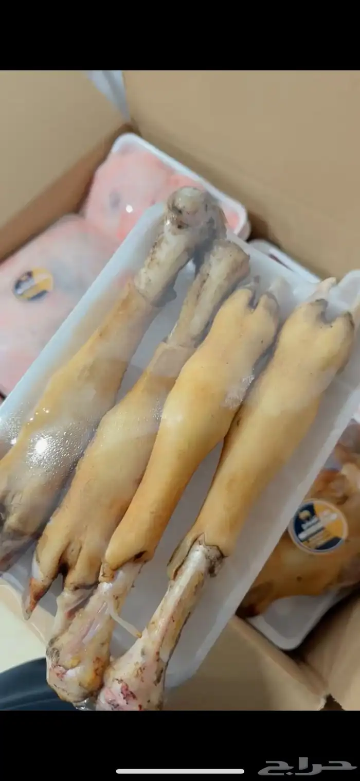 ذبائح 3