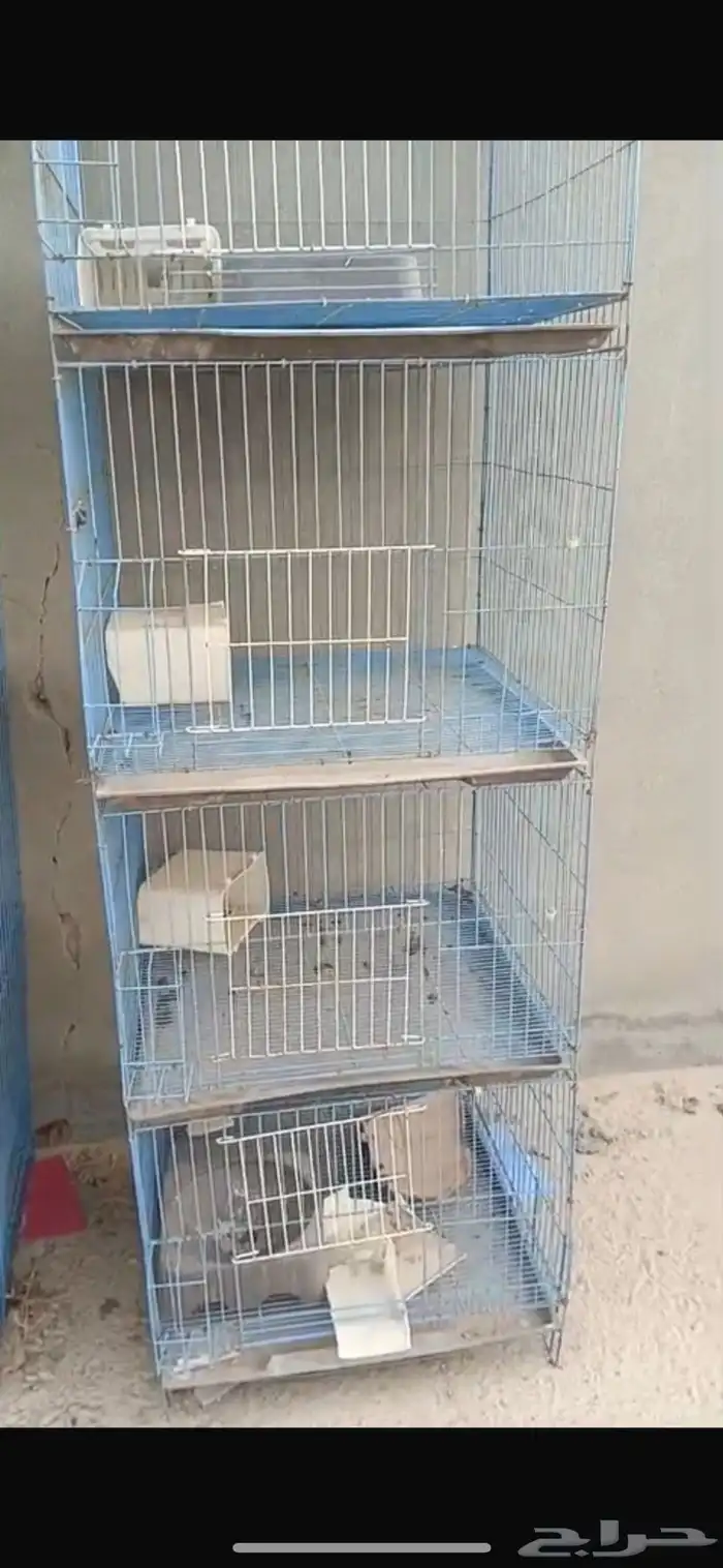 للبيع شبوك للدجاج والحمام 4