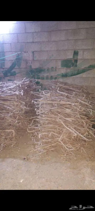 خشب جكات للايجار قمط بليود ضمد جديد ومستخدم 4