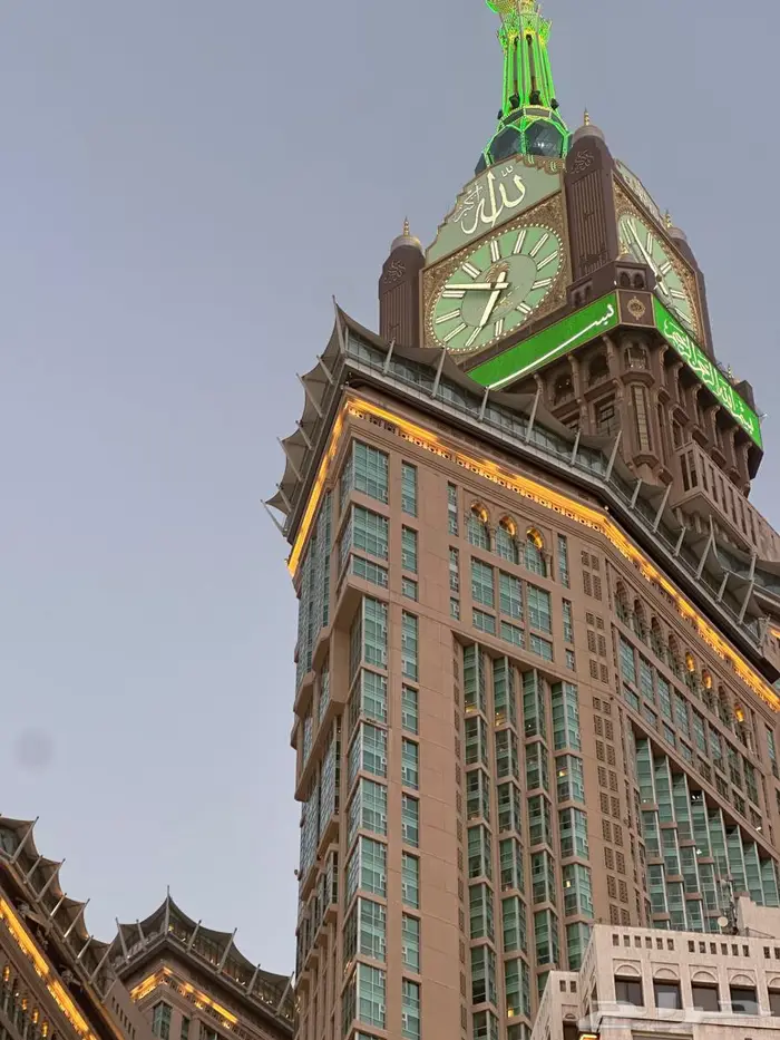 ورق عنب وملفوف 0