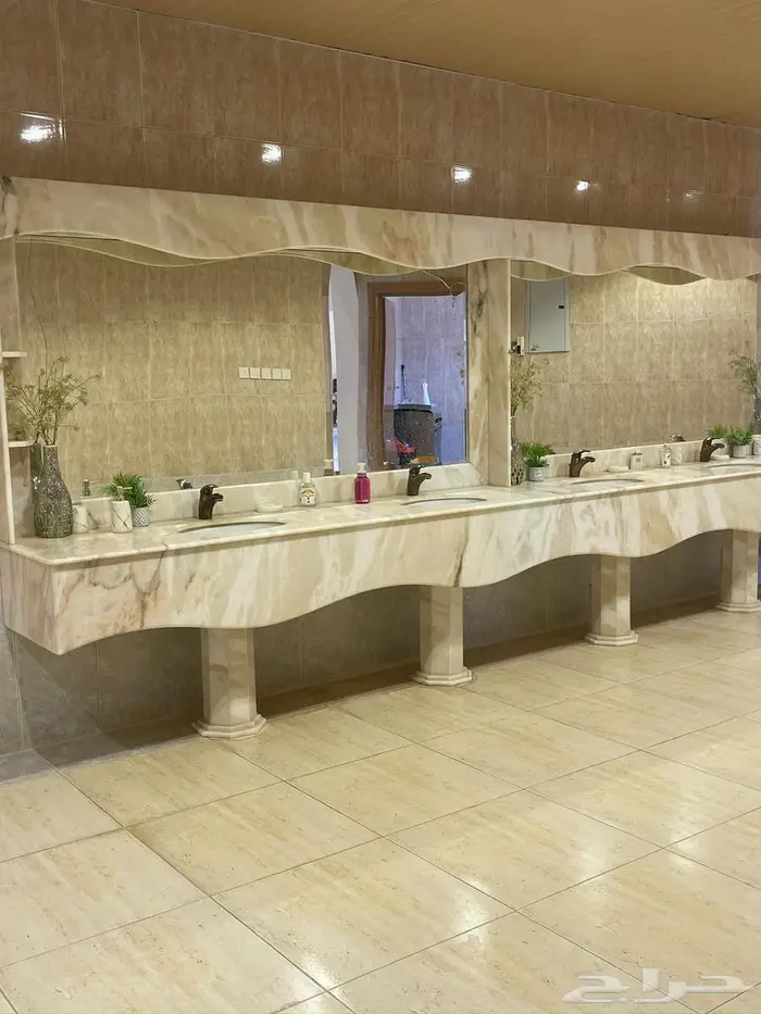 للإيجار مزرعة ( أسطبل خيول وفيلا سكني) ببريدة 16