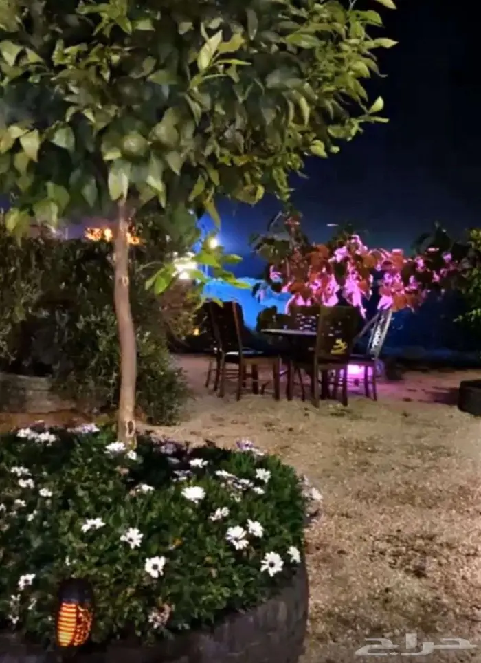 ارض و مزرعة للايجار على طريق الميه الجديد ( طريق مرحبا ) 3