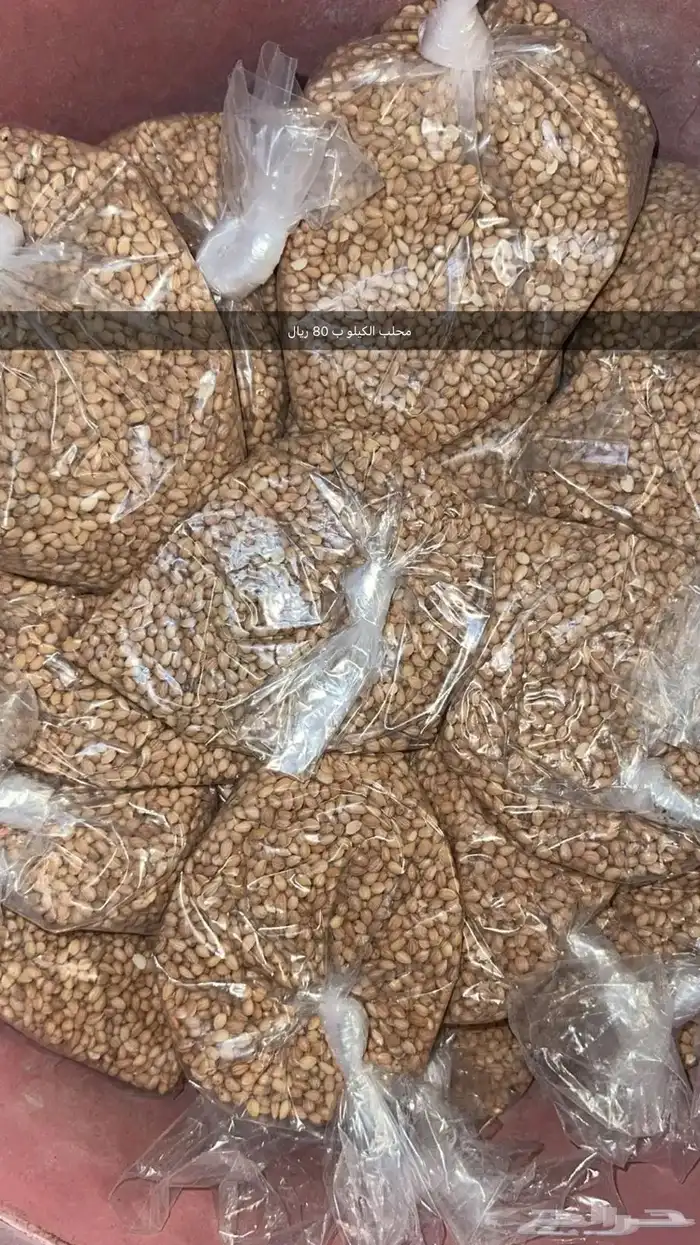 سوق الاثنين الشعبي 22