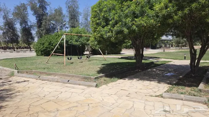 مزرعة الجوهرة للإيجار اليومي فى بريدة 3