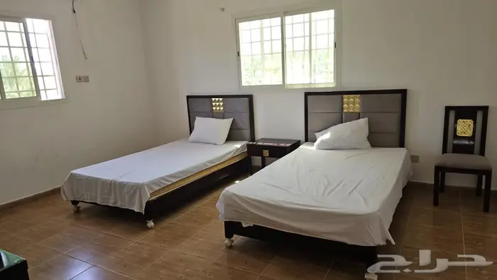 مزرعة الجوهرة للإيجار اليومي فى بريدة 6