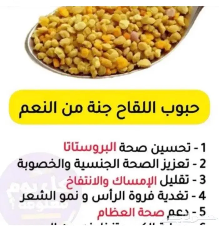 خصم للخريجات والخررجين 12