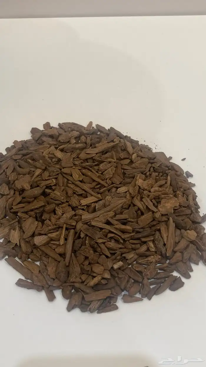 مروكي طبيعي بحجم الفصفص 0