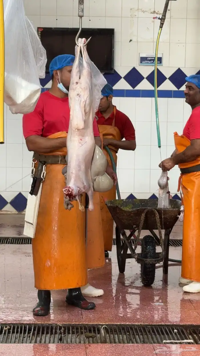 هرفي نعيم ثلاجه تم البيع 3